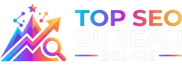 topseobureaubelgie.com